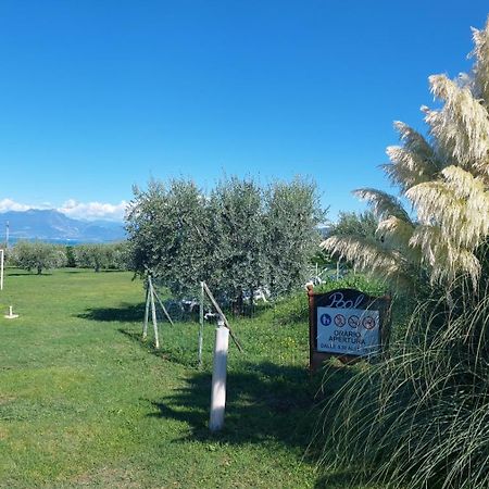 Agriturismo Al-Bor Lazise Extérieur photo