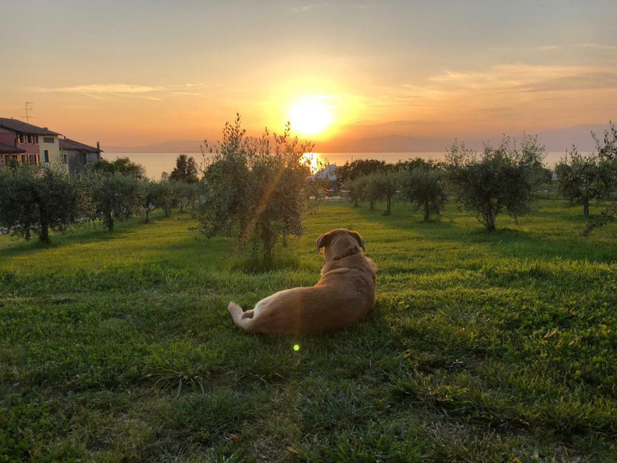 Agriturismo Al-Bor Lazise Extérieur photo